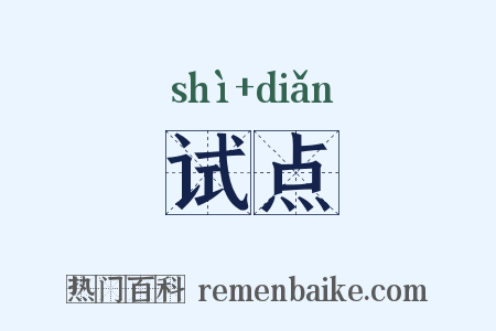 试点是什么意思的图片